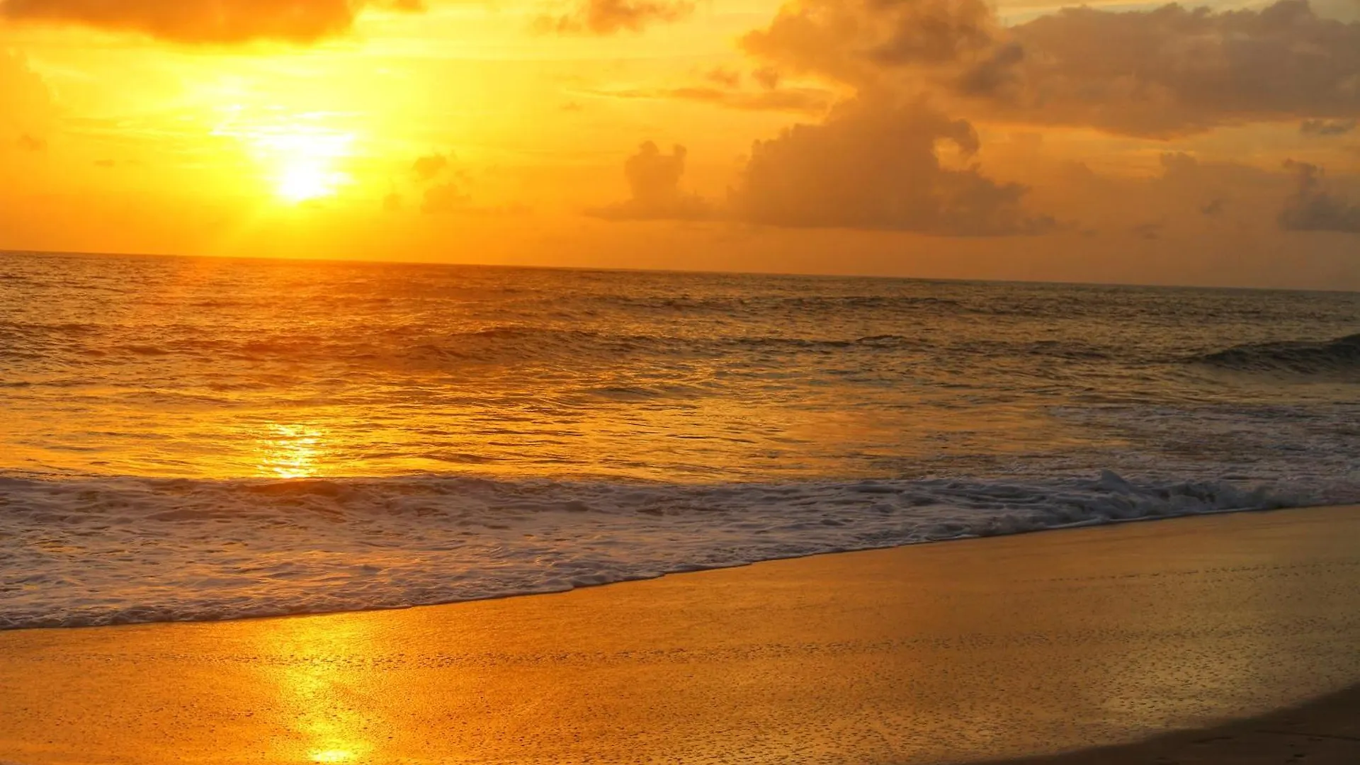 Telma Beach Homestay Mararikulam India